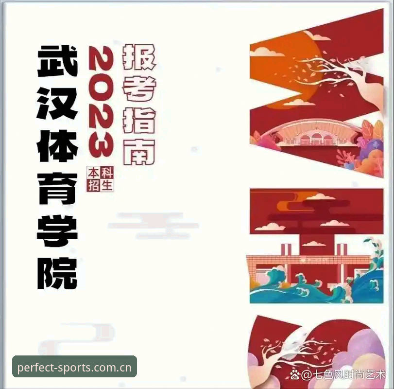 完美体育登录入口对比完整指南：从官网到App的详细操作流程